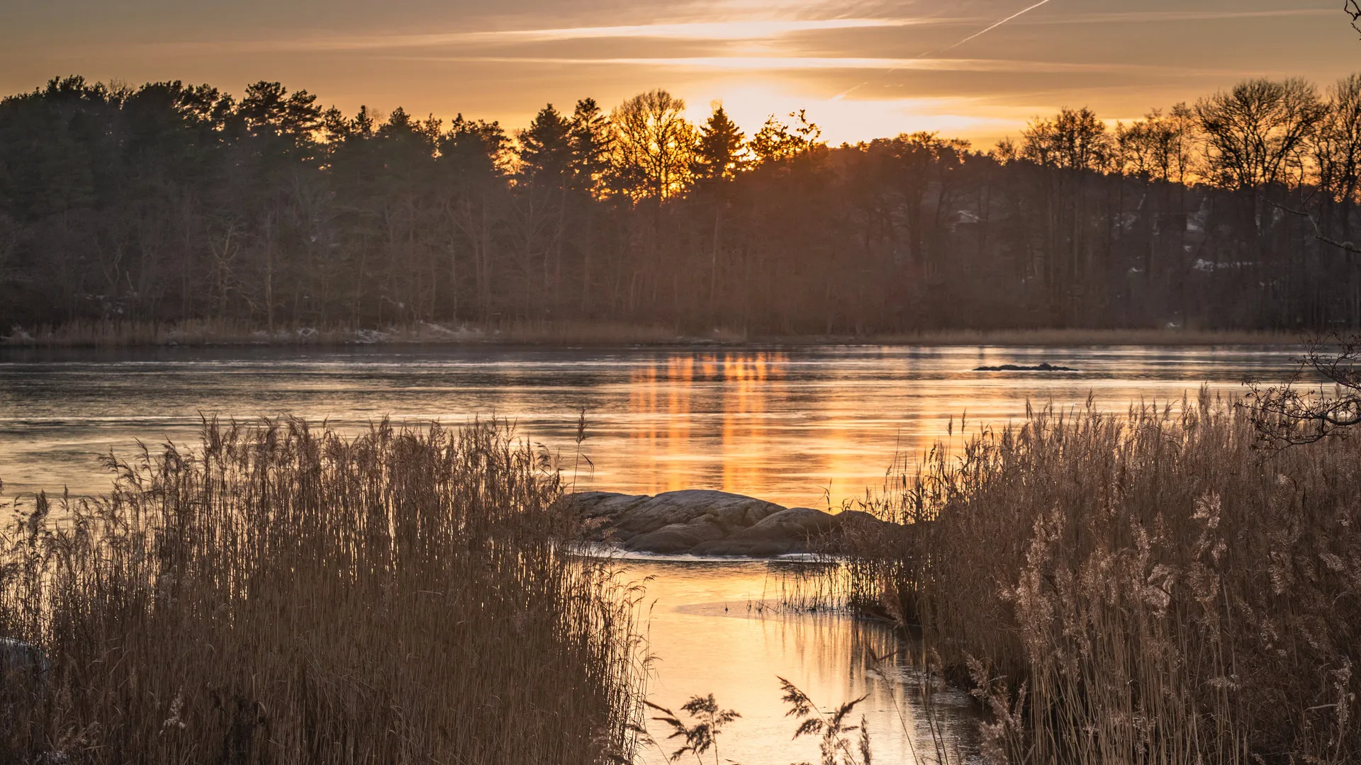 Gyllen høstsolnedgang over skog og vann